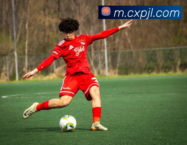 开云体育APP 高清赛事图